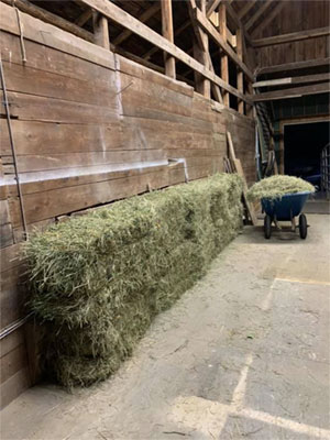 Bales of hay